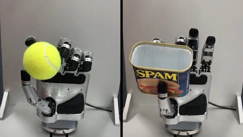 Un braccio robotico che tiene in mano una pallina da tennis e una scatoletta di carne